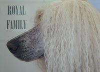 Kraljeva družina - ležeči plakat v angleščini - Ta datoteka plakata je močno zmanjšana, orig. se hrani na NASu.