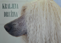 Kraljeva družina - ležeči plakat v slovenščini - Ta datoteka plakata je močno zmanjšana, orig. se hrani na NASu.