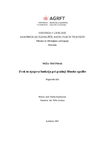 Zvok in njena funkcija pri gradnji filmske zgodbe - 