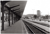 Urška Žnidaršič: Fotostrip - fotografija 5 - 