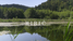 Ribič: Foto 1 - 