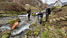 Tlenje: foto 6 - 